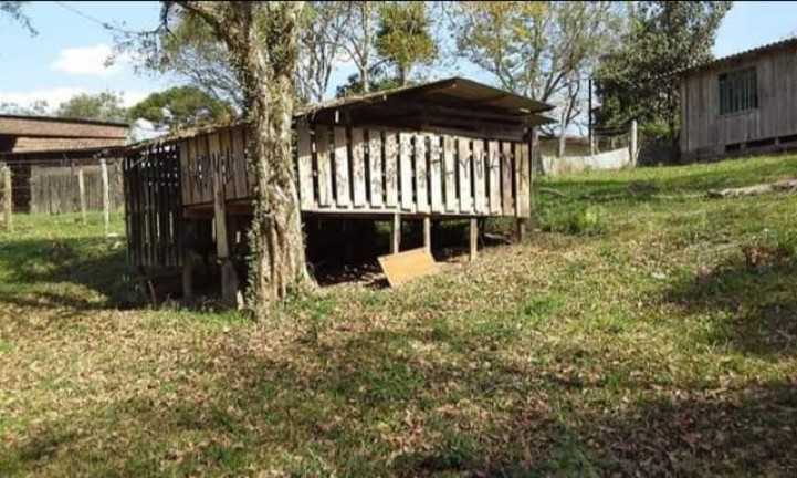 Imagem Chácara à Venda, 8.291 m² em Rio Da Várzea - Quitandinha Imagem Chácara à Venda, 8.291 m² em Rio Da Várzea - Quitandinha