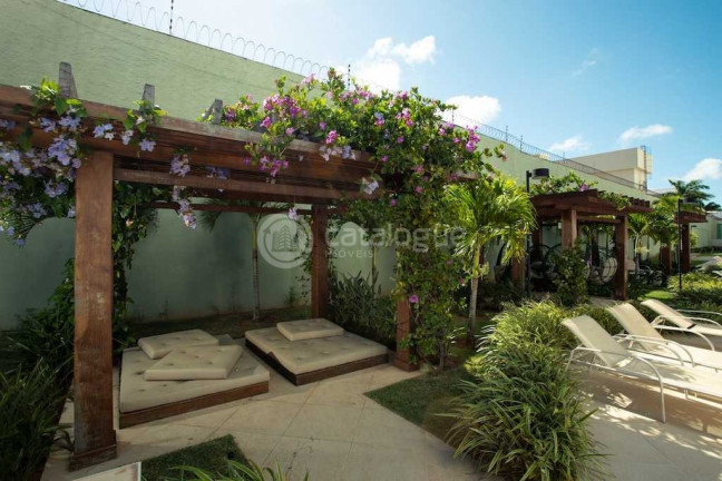 Imagem Apartamento com 3 Quartos à Venda, 79 m² em Ponta Negra - Natal