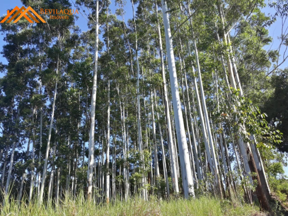Imagem Terreno à Venda, 6 m² em Costa De Baixo - Imarui Imagem Terreno à Venda, 6 m² em Costa De Baixo - Imarui