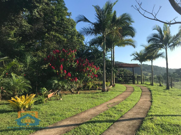 Imagem Fazenda à Venda, 55.000 m² em Bom Jesus Do Bagre - Belo Oriente Imagem Fazenda à Venda, 55.000 m² em Bom Jesus Do Bagre - Belo Oriente