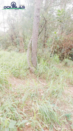 Imagem Terreno à Venda, em águas Claras - Viamão Imagem Terreno à Venda, em águas Claras - Viamão