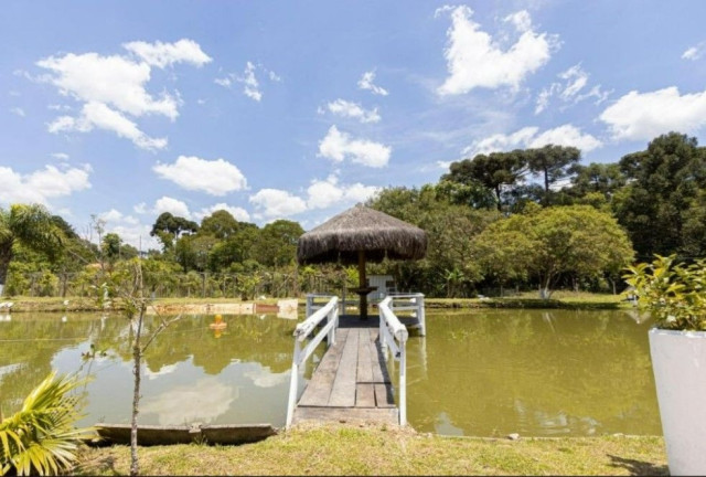 Imagem Fazenda à Venda, em Centro - Contenda Imagem Fazenda à Venda, em Centro - Contenda