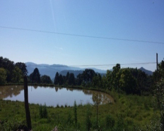 Imagem Terreno à Venda, 20 m² em Linha Brasil - Nova Petrópolis Imagem Terreno à Venda, 20 m² em Linha Brasil - Nova Petrópolis