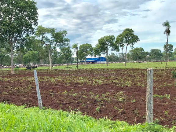 Fazenda à Venda,  em Zona Rural - Caceres