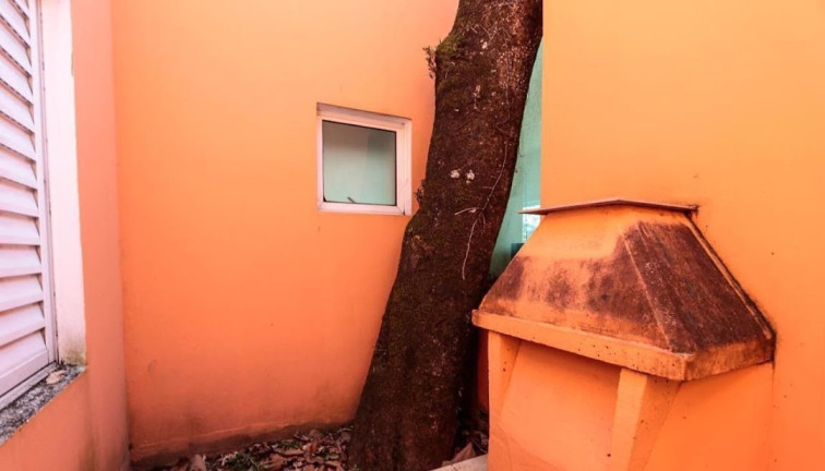 Imagem Casa com 4 Quartos à Venda, 240 m² em Fazenda Morumbi - São Paulo Imagem Casa com 4 Quartos à Venda, 240 m² em Fazenda Morumbi - São Paulo
