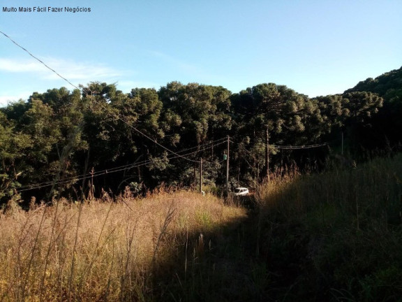 Imagem Terreno à Venda, 2 m² em Linha Imperial - Nova Petrópolis