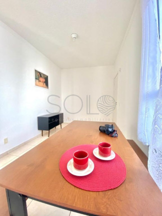 Imagem Apartamento com 2 Quartos à Venda, 47 m² em Jardim Das Flores - Araraquara Imagem Apartamento com 2 Quartos à Venda, 47 m² em Jardim Das Flores - Araraquara