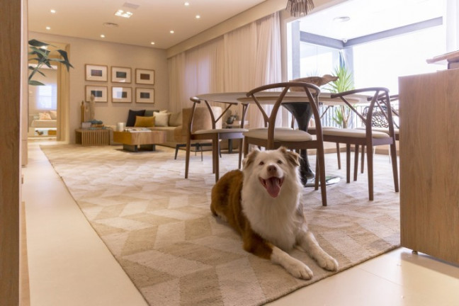 Imagem Apartamento com 2 Quartos à Venda, 73 m² em Morumbi - São Paulo Imagem Apartamento com 2 Quartos à Venda, 73 m² em Morumbi - São Paulo