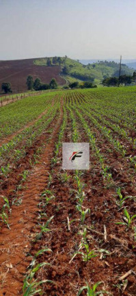 Imagem Fazenda à Venda, 1.149.500 m² em Bairro Rural - Manoel Ribas Imagem Fazenda à Venda, 1.149.500 m² em Bairro Rural - Manoel Ribas