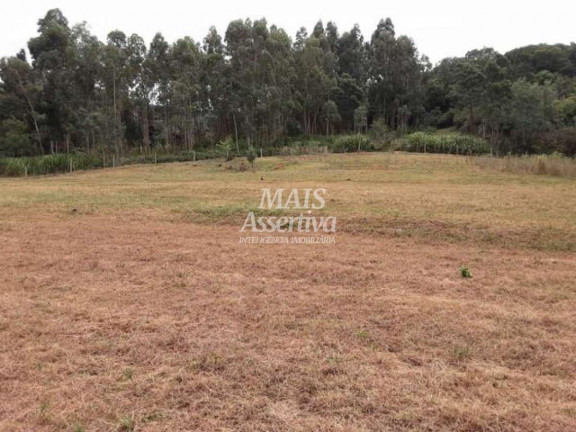 Imagem Imóvel com 3 Quartos à Venda, 176 m² em Boa Vista - São Francisco De Paula Imagem Imóvel com 3 Quartos à Venda, 176 m² em Boa Vista - São Francisco De Paula