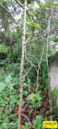 Imagem Terreno à Venda, 1 m² em Chácaras De Inoã (inoã) - Maricá Imagem Terreno à Venda, 1 m² em Chácaras De Inoã (inoã) - Maricá