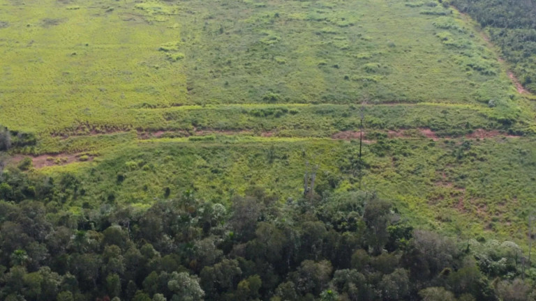 Imagem Fazenda à Venda, 13 m² em Residencial Maripá - Sinop Imagem Fazenda à Venda, 13 m² em Residencial Maripá - Sinop