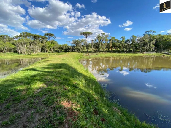Imagem Imóvel com 2 Quartos à Venda, 29.328 m² em Catanduvas Do Sul - Contenda