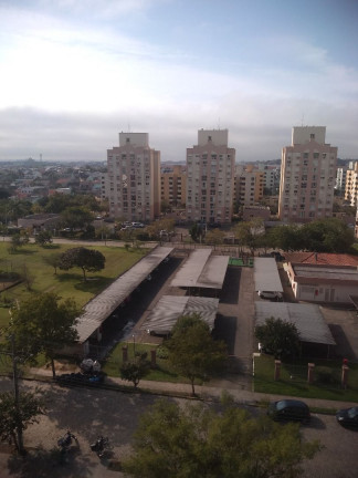 Imagem Apartamento com 3 Quartos à Venda, 71 m² em Sarandi - Porto Alegre
