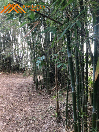 Imagem Terreno à Venda, 8.126 m² em Cangueri De Fora - Imaruí