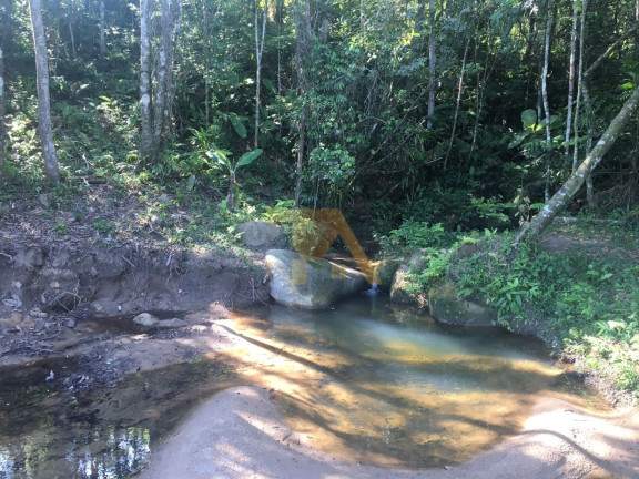 Imagem Fazenda à Venda, 15 m² em Laranjal - Imaruí Imagem Fazenda à Venda, 15 m² em Laranjal - Imaruí