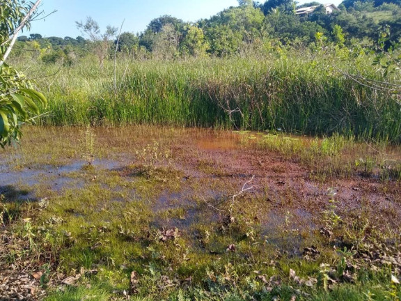 Imagem Imóvel à Venda, 874 m² em Palmeiras - Guaraparia Imagem Imóvel à Venda, 874 m² em Palmeiras - Guaraparia