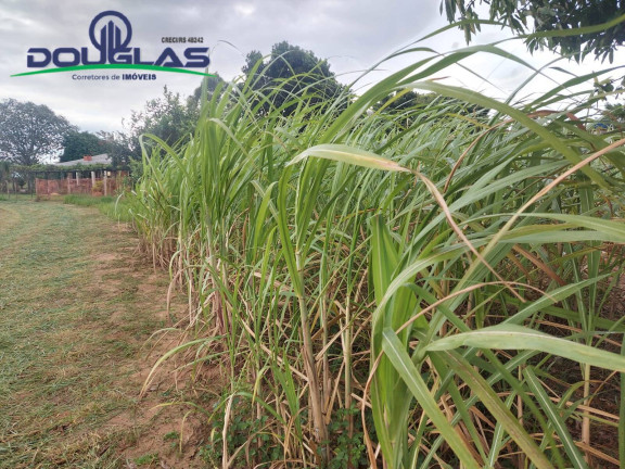 Imagem Chácara à Venda, 20.000 m² em Viamão Imagem Chácara à Venda, 20.000 m² em Viamão