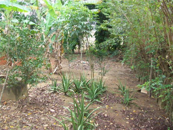 Imagem Terreno à Venda, 548 m² em Monteiro (são Vicente) - Araruama Imagem Terreno à Venda, 548 m² em Monteiro (são Vicente) - Araruama
