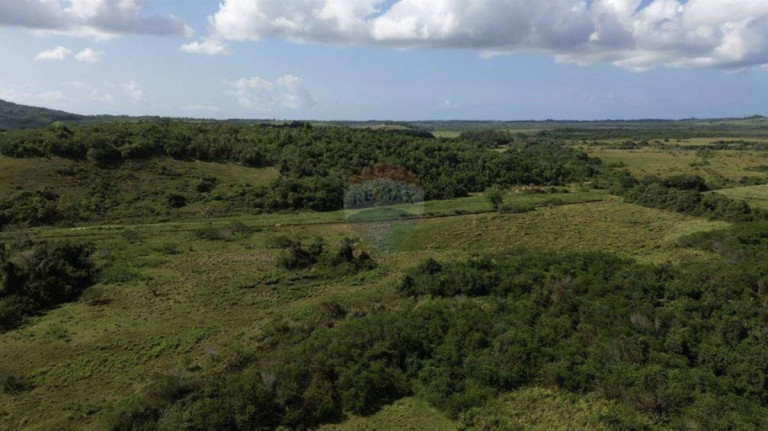 Imagem Fazenda à Venda, 1.449.875 m² em Zona Rural - Anchieta Imagem Fazenda à Venda, 1.449.875 m² em Zona Rural - Anchieta