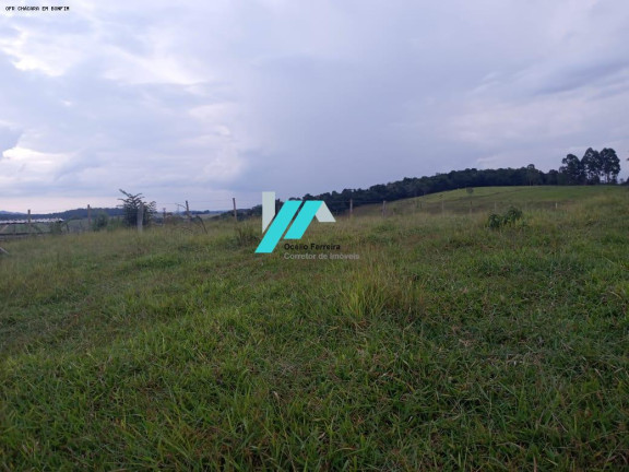 Imagem Fazenda à Venda, 1.000 m² em Zona Rural - Bonfim Imagem Fazenda à Venda, 1.000 m² em Zona Rural - Bonfim