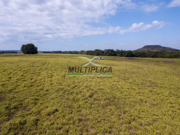 Imagem Fazenda à Venda, 18.800 m² em Goiatins Imagem Fazenda à Venda, 18.800 m² em Goiatins