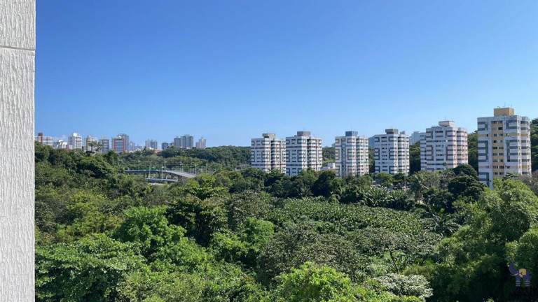 Imagem Apartamento com 2 Quartos à Venda, 39 m² em Narandiba - Salvador