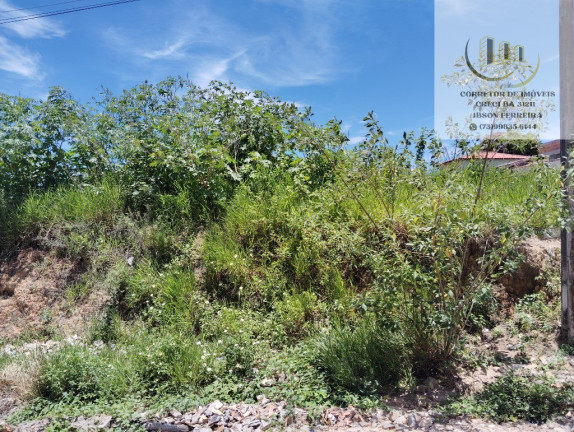 Imagem Terreno à Venda, 500 m² em A 1 Minuto Do Centro De Cabrália, Terra De Cabral - Santa Cruz Cabrália Imagem Terreno à Venda, 500 m² em A 1 Minuto Do Centro De Cabrália, Terra De Cabral - Santa Cruz Cabrália