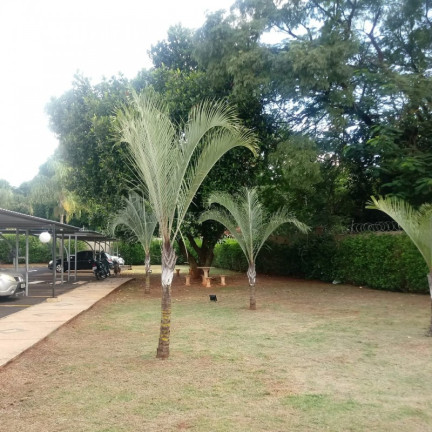 Imagem Apartamento com 2 Quartos à Venda, 48 m² em Parque Dos Lagos - Ribeirão Preto Imagem Apartamento com 2 Quartos à Venda, 48 m² em Parque Dos Lagos - Ribeirão Preto