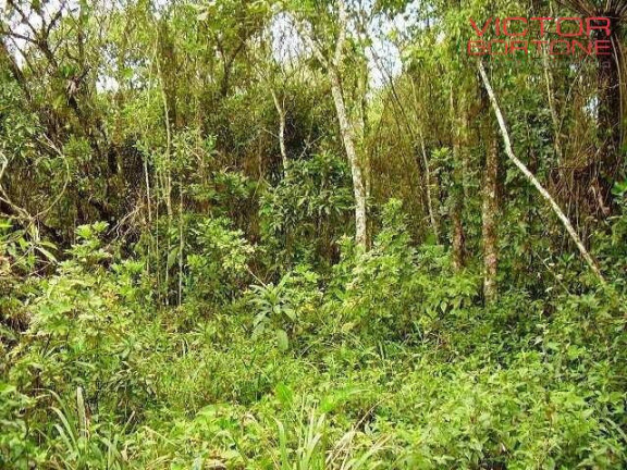 Imagem Chácara com 4 Quartos à Venda, 415 m² em Biritiba Ussu - Mogi Das Cruzes
