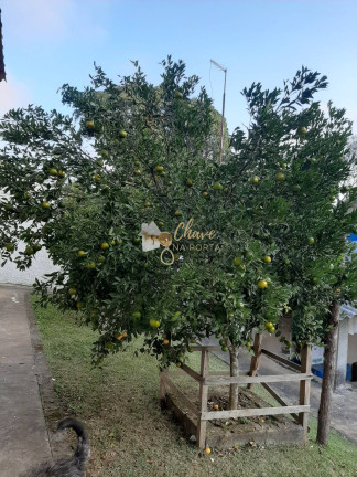 Imagem Chácara com 3 Quartos à Venda, 4.400 m² em Itororó - Embu-guaçu Imagem Chácara com 3 Quartos à Venda, 4.400 m² em Itororó - Embu-guaçu
