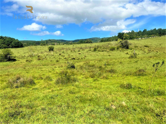 Imagem Chácara à Venda, 140.000 m² em Morungava - Gravataí Imagem Chácara à Venda, 140.000 m² em Morungava - Gravataí