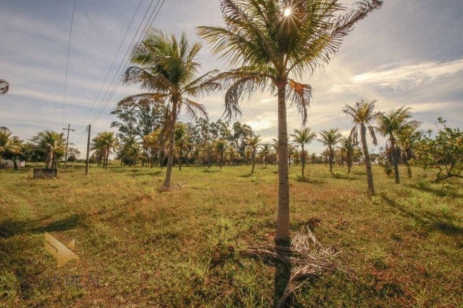 Imagem Chácara com 2 Quartos à Venda, 400 m² em Zona Rural - Campo Grande Imagem Chácara com 2 Quartos à Venda, 400 m² em Zona Rural - Campo Grande