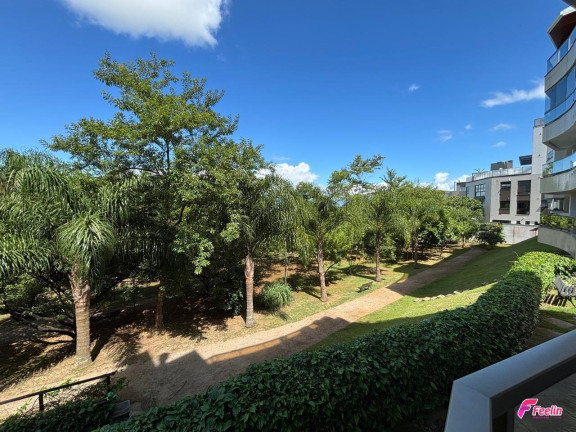 Imagem Apartamento com 2 Quartos à Venda, 95 m² em João Paulo - Florianópolis Imagem Apartamento com 2 Quartos à Venda, 95 m² em João Paulo - Florianópolis