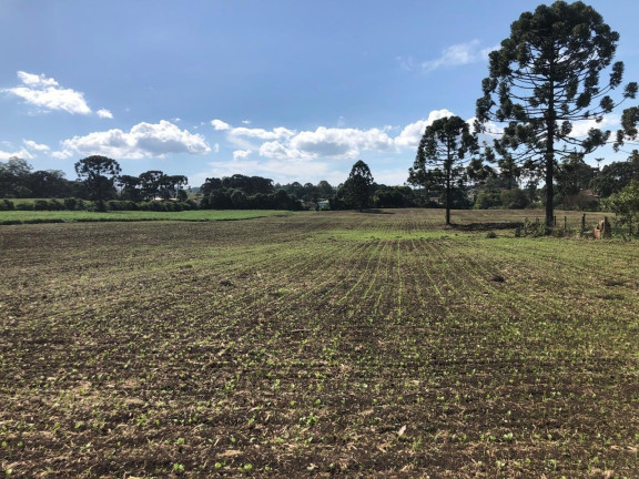 Fazenda à Venda, 19.400 m² em Tranqueira - Almirante Tamandare