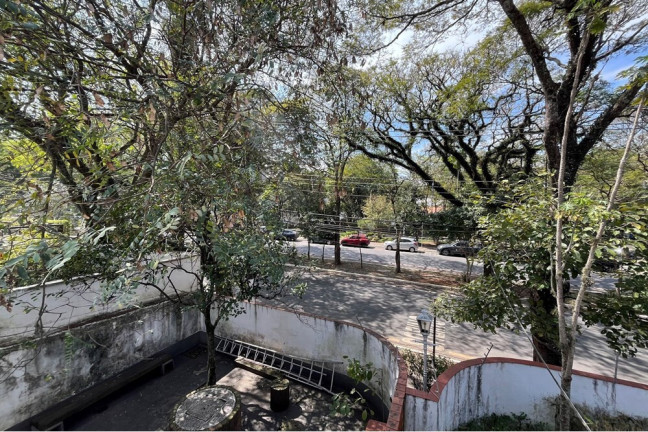 Imagem Casa com 7 Quartos à Venda, 307 m² em Boaçava - São Paulo Imagem Casa com 7 Quartos à Venda, 307 m² em Boaçava - São Paulo