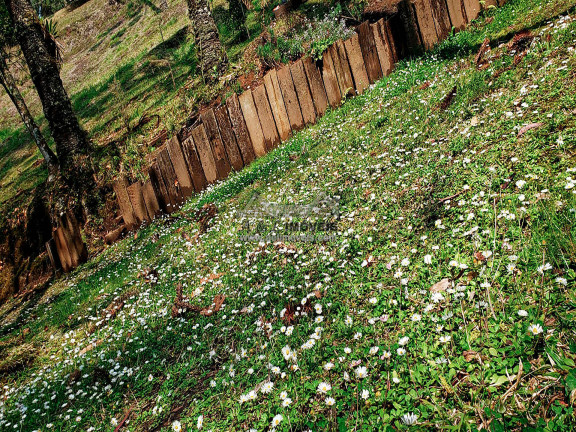 Imagem Terreno em Condomínio à Venda, 1 m² em Alto Capivari - Campos Do Jordão Imagem Terreno em Condomínio à Venda, 1 m² em Alto Capivari - Campos Do Jordão