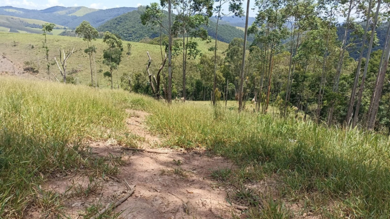 Imagem Chácara à Venda, 200 m² em Centro - Paraibuna Imagem Chácara à Venda, 200 m² em Centro - Paraibuna