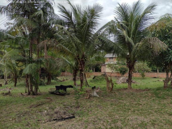 Imagem Chácara à Venda, 5.000 m² em Areia Branca - Porto Velho Imagem Chácara à Venda, 5.000 m² em Areia Branca - Porto Velho