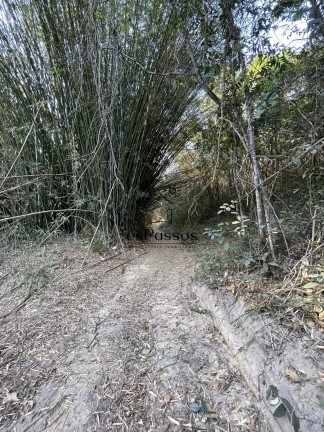 Imagem Chácara à Venda, 20.000 m² em Valentim - Florestal Imagem Chácara à Venda, 20.000 m² em Valentim - Florestal