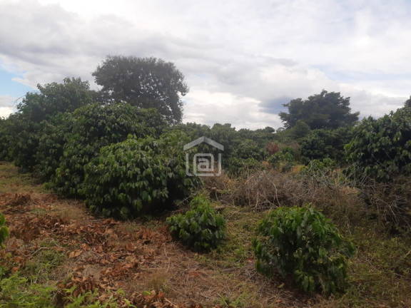 Imagem Imóvel à Venda, 30.000 m² em Conceição (rural) - Palmeiral Imagem Imóvel à Venda, 30.000 m² em Conceição (rural) - Palmeiral