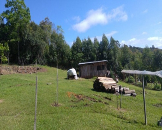 Imagem Imóvel com 2 Quartos à Venda, 3 m² em Linha Imperial - Nova Petrópolis
