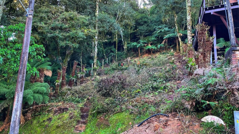 Imagem Terreno à Venda, 488 m² em Quinta Da Serra - Canela Imagem Terreno à Venda, 488 m² em Quinta Da Serra - Canela