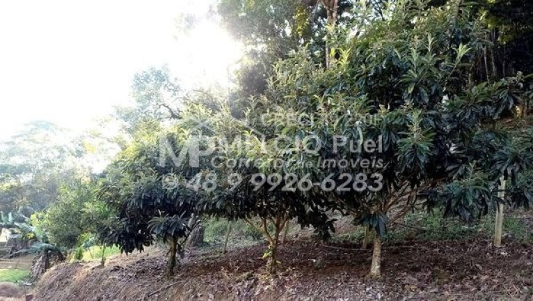 Imagem Imóvel à Venda, em Rio Do Alho - Major Gercino Sc Imagem Imóvel à Venda, em Rio Do Alho - Major Gercino Sc