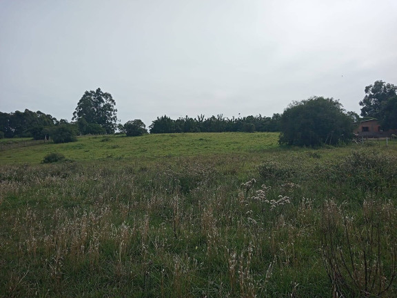 Imagem Chácara à Venda, 10.000 m² em águas Claras - Viamão Imagem Chácara à Venda, 10.000 m² em águas Claras - Viamão