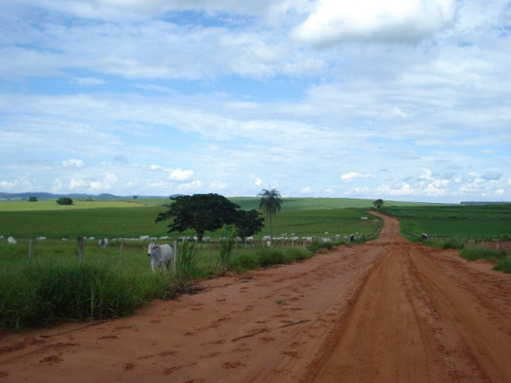 Imagem Imóvel à Venda, 2.042 m² em área Rural De Marília - Marília Imagem Imóvel à Venda, 2.042 m² em área Rural De Marília - Marília