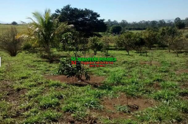 Imagem Chácara à Venda, 968.000 m² em Centro - Caçapava