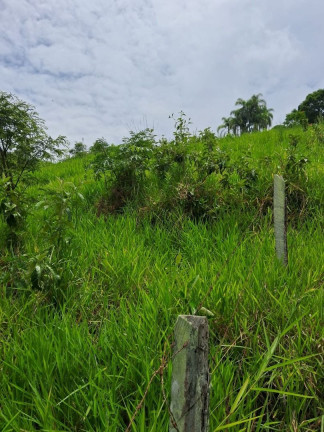 Imagem Terreno à Venda, 100 m² em Bandeira Branca - Jacareí