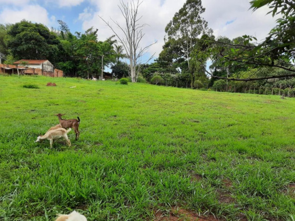 Imagem Terreno à Venda, 2.815 m² em Jardim Europa - Botucatu Imagem Terreno à Venda, 2.815 m² em Jardim Europa - Botucatu