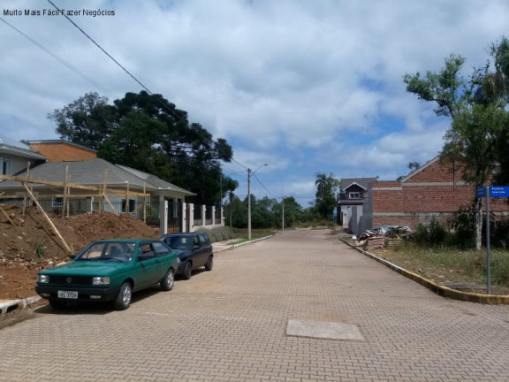 Imagem Terreno à Venda, 555 m² em Juriti - Nova Petrópolis Imagem Terreno à Venda, 555 m² em Juriti - Nova Petrópolis